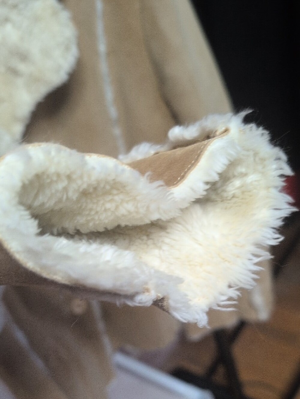 SONOMA Tan Suede Teddy Jacket with Cream Faux Shearling - Picture 9 of 10